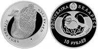 belarusGreygoose2009