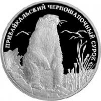 RU2008Surok
