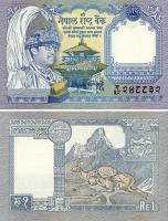 24355