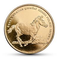 2014_konik_pl