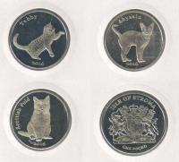 IS1poundcats2016