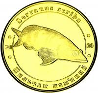 13020-1