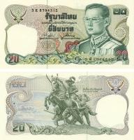 19007