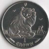 1995-8041-1