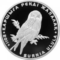 KAZ2011owl