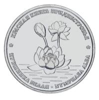 16795-1