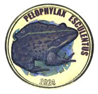 19936-1