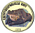 19938-1