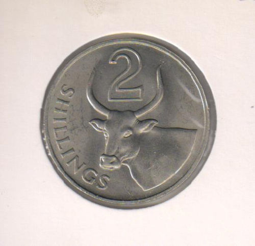 фото Гамбия 2 шиллинга 1966 F-VF Бык Буйвол (KM#5)