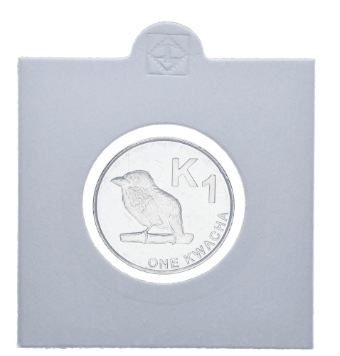 фото Замбия 1 квача 2012 UNC Птица