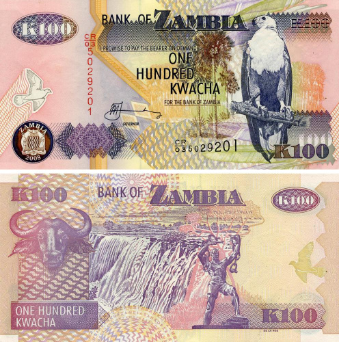 фото Замбия 100 квача 2008 UNC Буйвол (P38g)