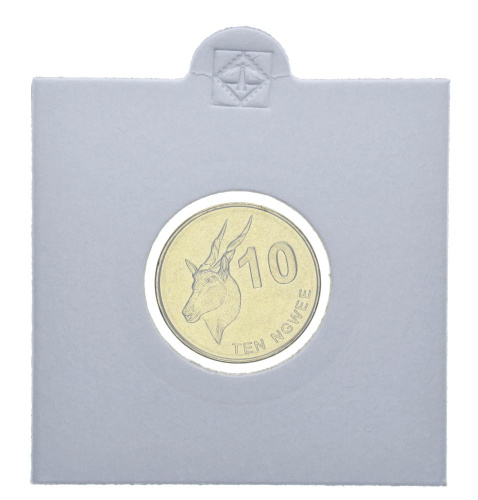 фото Замбия 10 нгве 2012 UNC Косуля