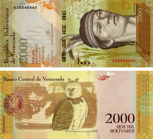 фото Венесуэла 2000 боливар 2016 UNC Птица Сова (P96)