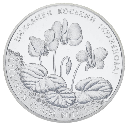 фото Украина 10 гривен 2014 Серебро UNC Цветы - Цикламен косский (Ag 925, унция, 31.1 грамм в чистоте)